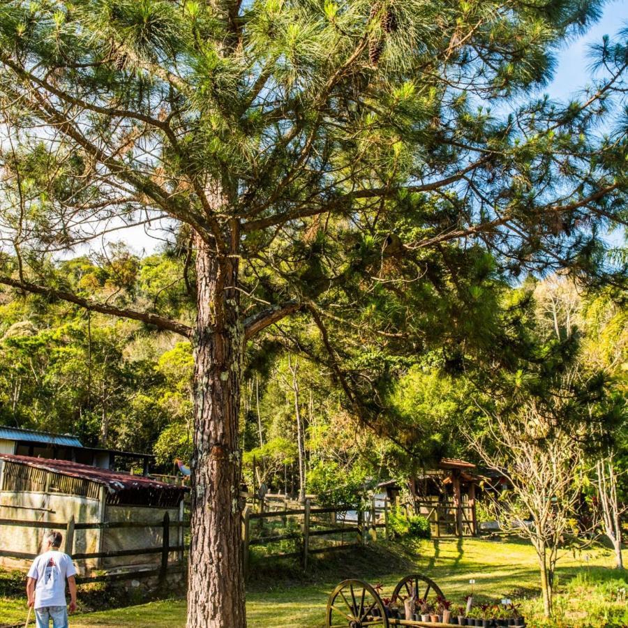 Sitio Araxa - 82 Anos De Historia - Suite Confortavel Em Meio A Floresta Paty do Alferes Dış mekan fotoğraf